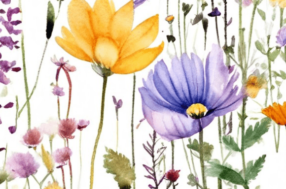 Watercolor Wildflower Meadow Collection: A Versatile Artistic Resource for Creative Projects